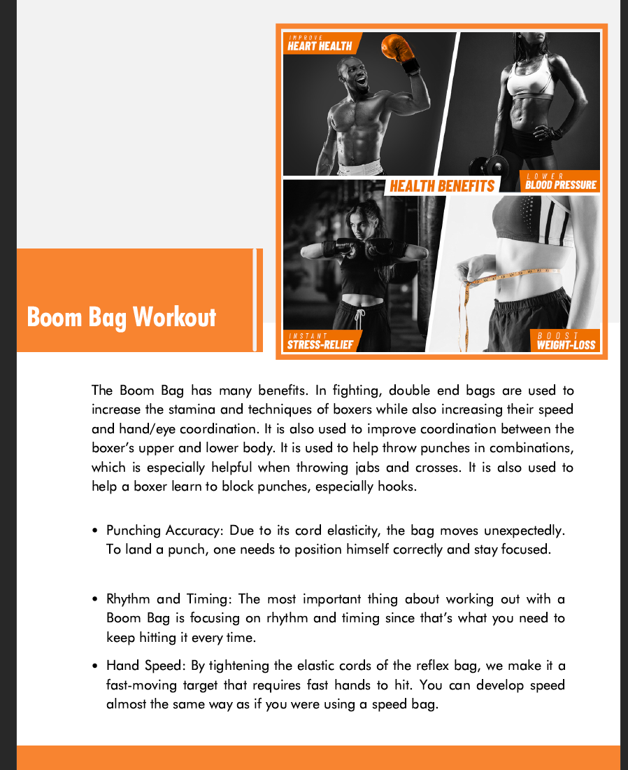 Cobra Reflex Bag Workout - Boom Bag